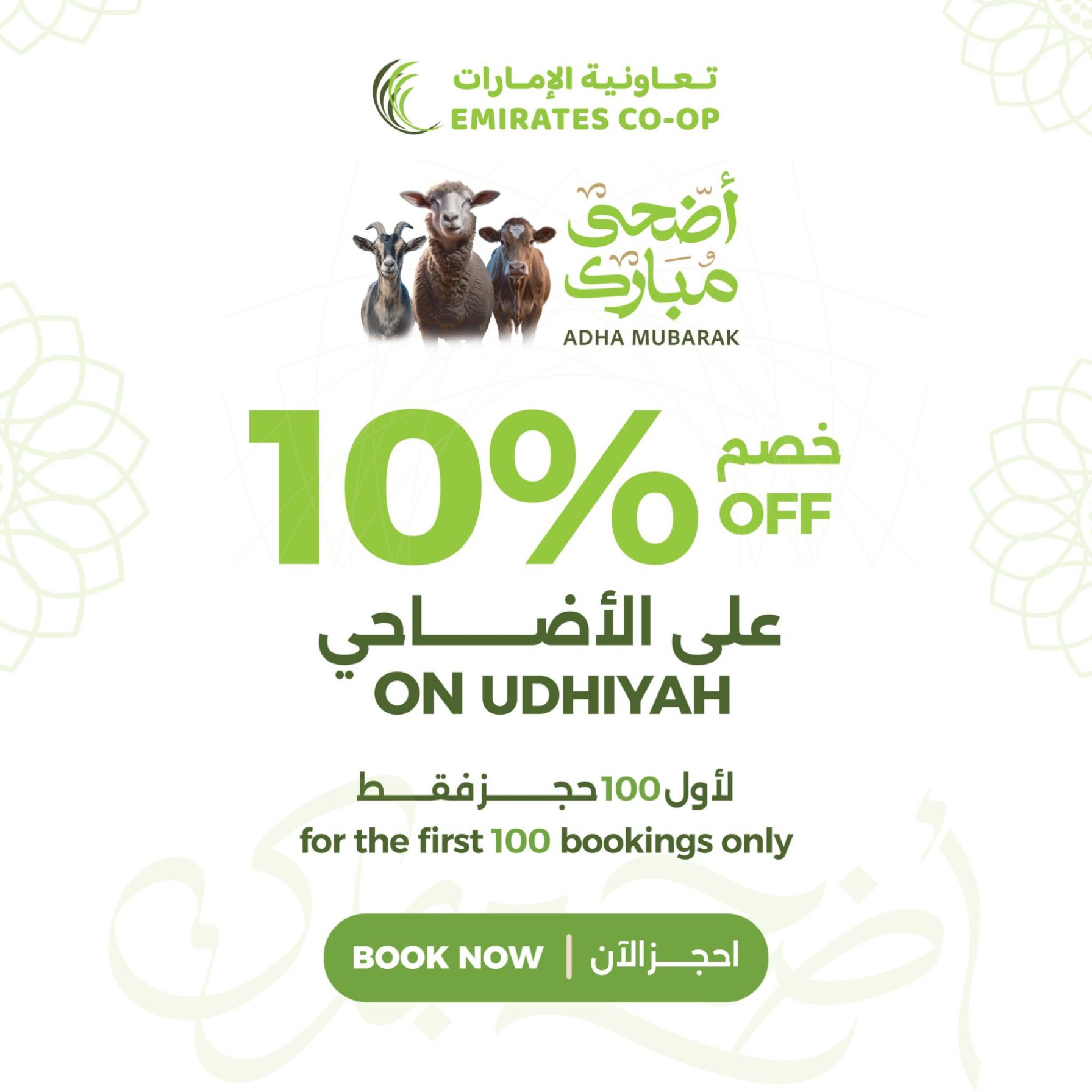 10% OFF On Udhiyah
