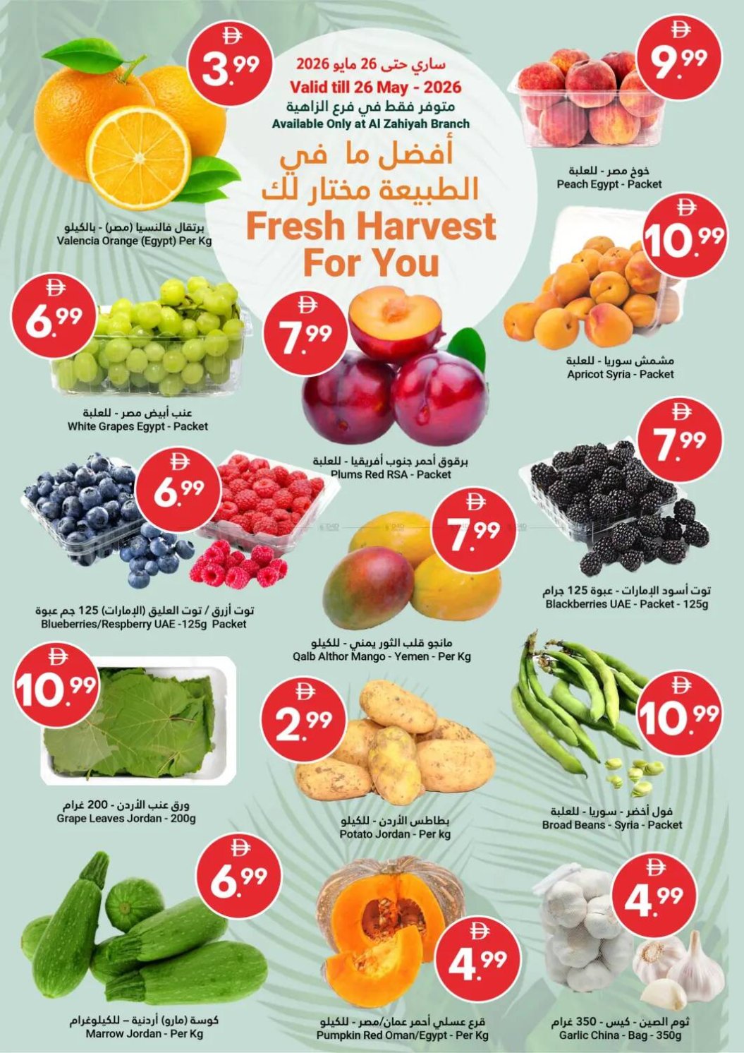 Fresh Harvest For You