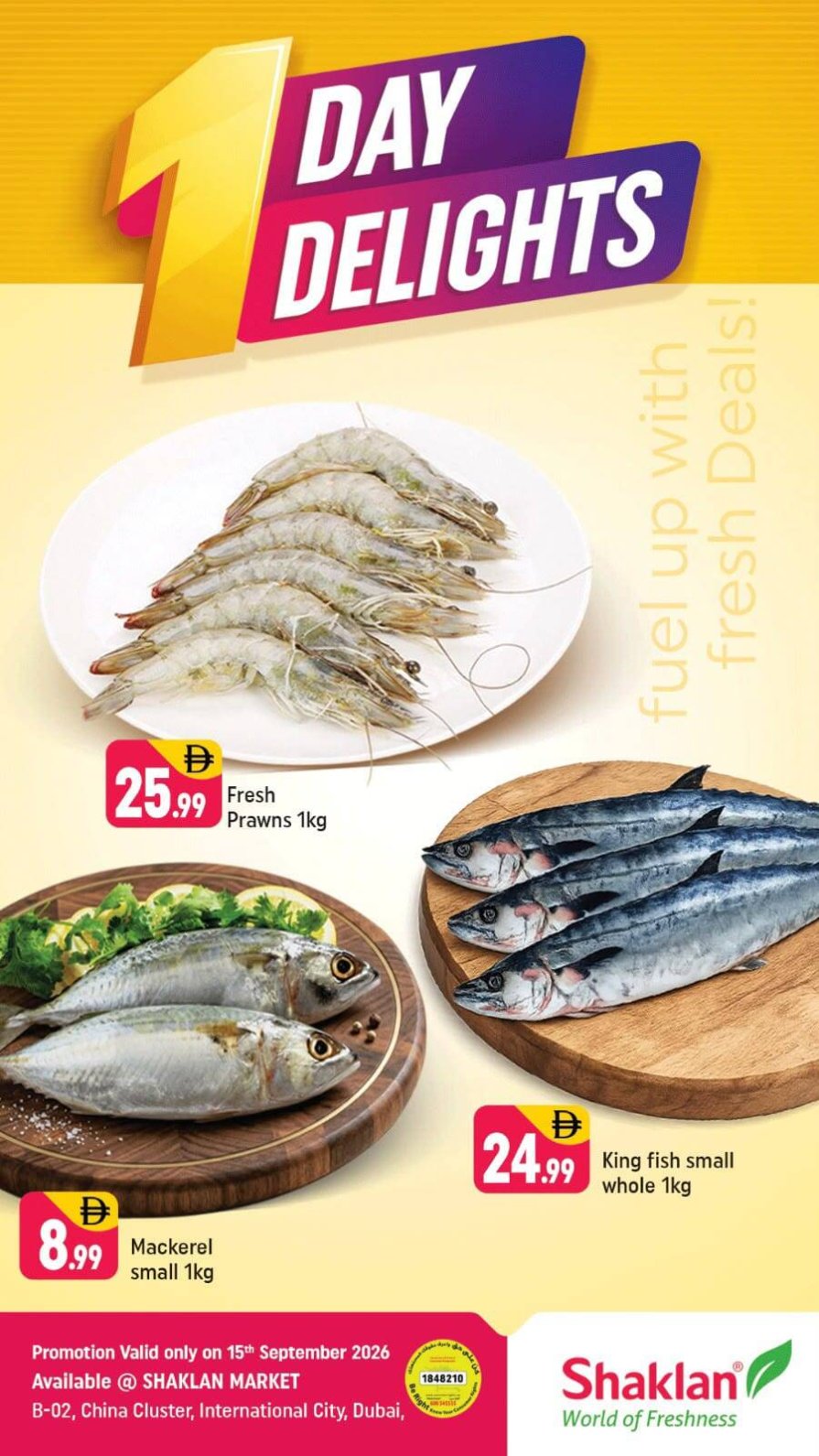 One Day Delights - B02 China Cluster, Dubai