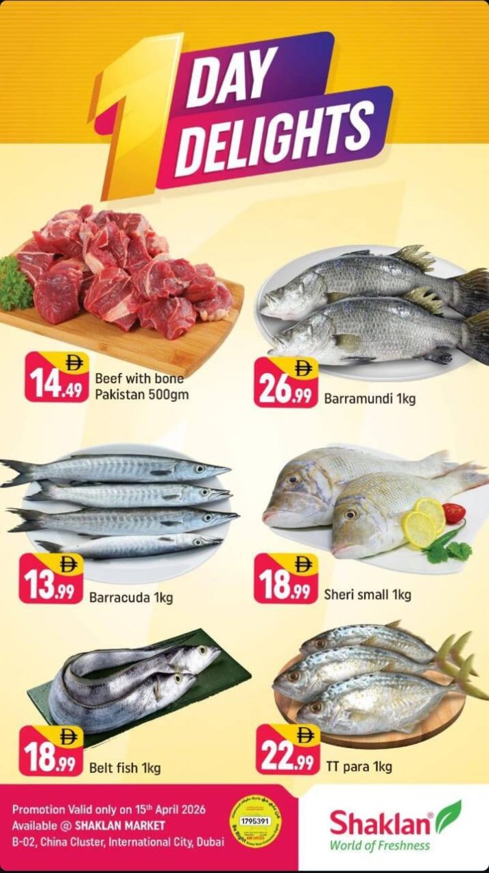 One Day Delights - B02 China Cluster, Dubai