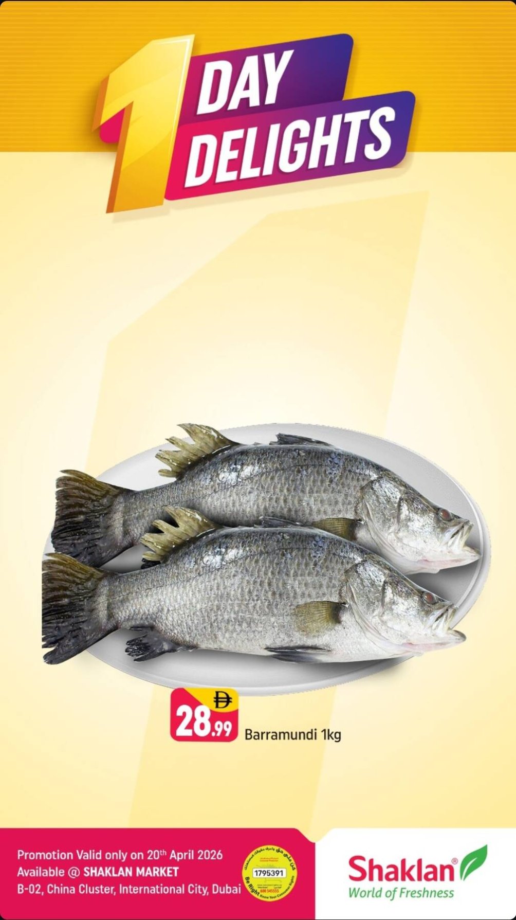 One Day Delights - B02 China Cluster, Dubai