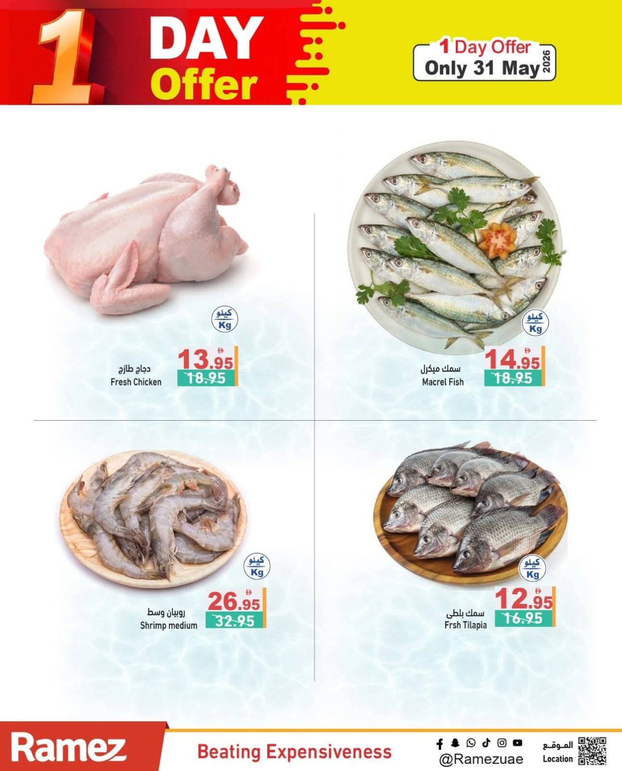 One Day Offers