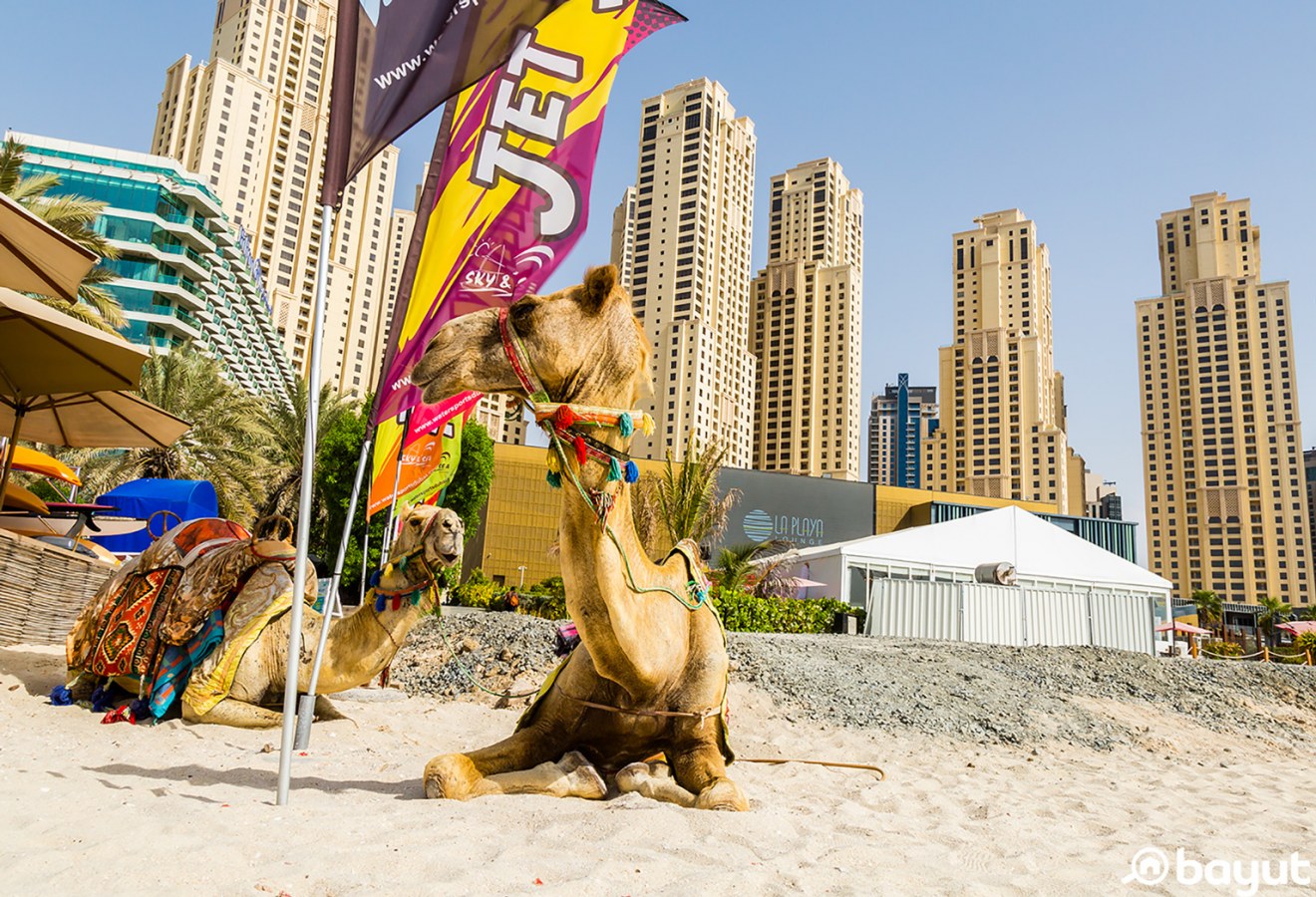 Best Beaches in Dubai.jpg