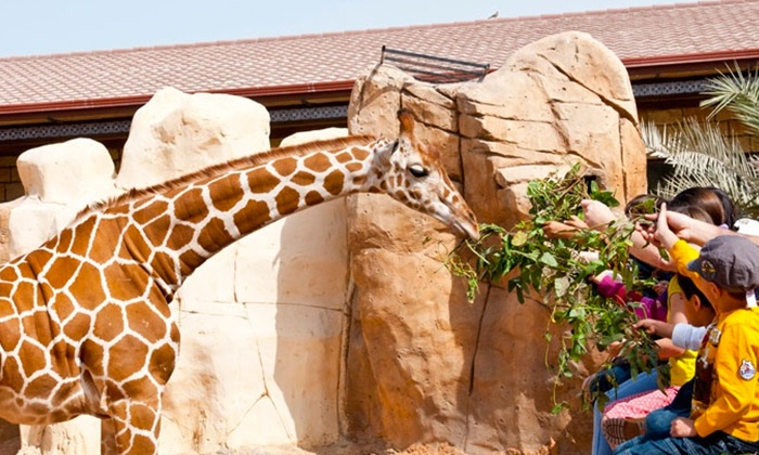 10 Best Zoos & Aquariums in Dubai 11