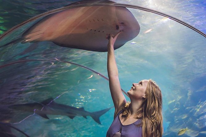 Best Dubai Aquarium & Underwater Zoo 1